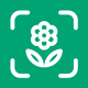 Planto: Plant Identifier