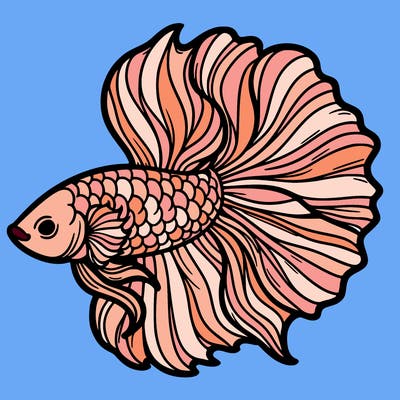betta fish