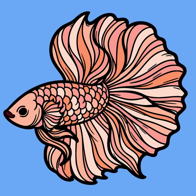 betta fish
