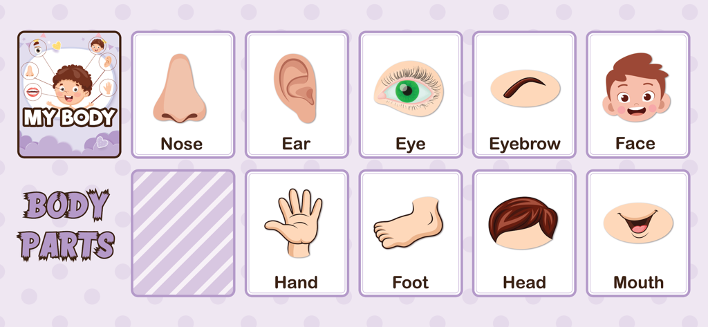 Baby Flash Cards for Toddlers - Educational flashcards for toddlers teaching body parts like nose ear and hand