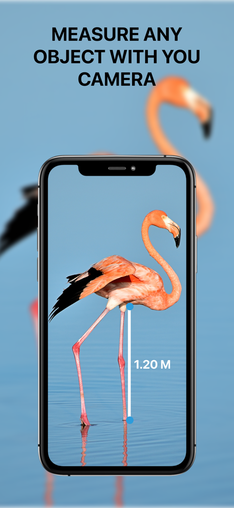 Measure Height With Camera App - A smartphone screen showing a measurement of a flamingo using the Measure Height With Camera App