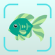 Fish Identifier : Fishverify