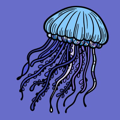 jellyfish