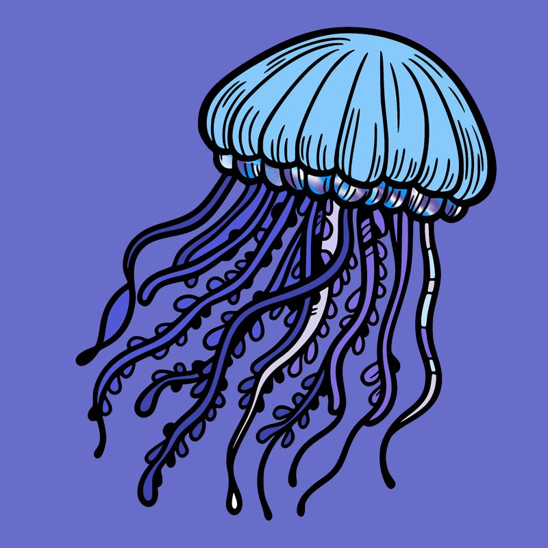 jellyfish
