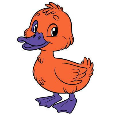 duck