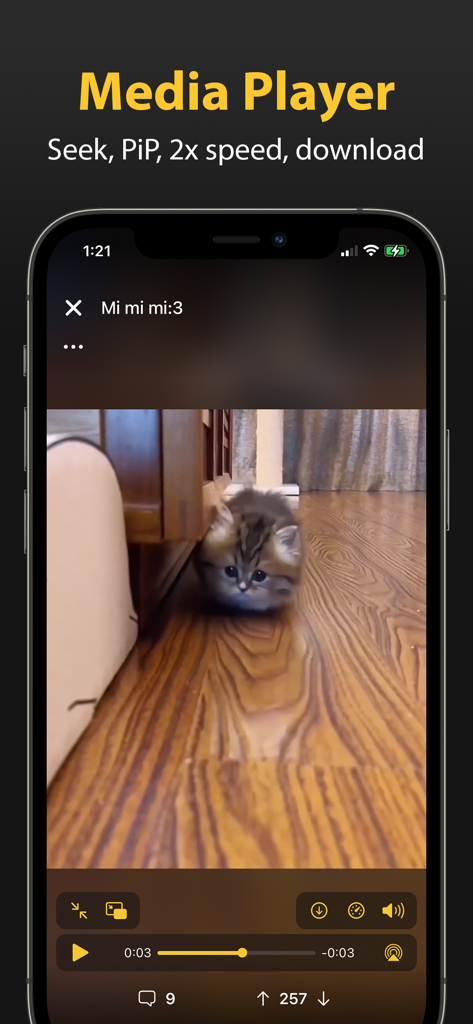 Sigma: Your Feeds United - Sigma app media player showing a video of a kitten with playback controls and picture-in-picture mode