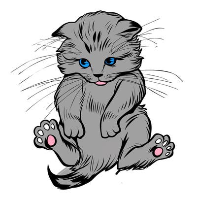 animals_20