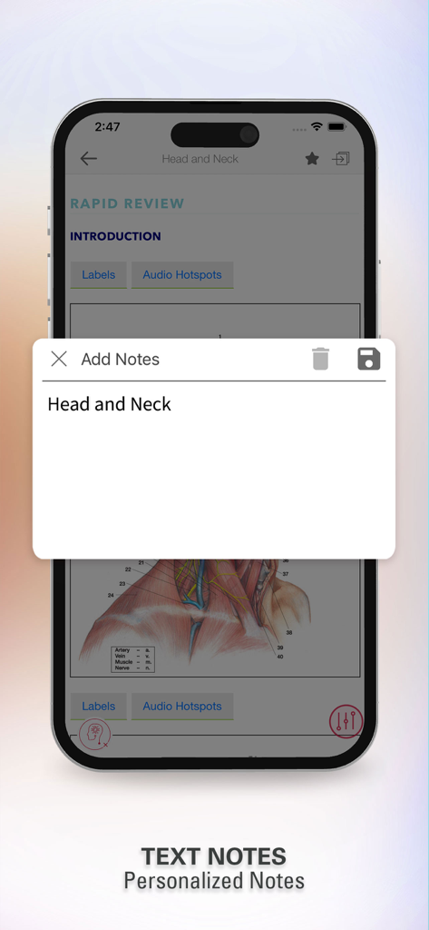 Rapid Review Anatomy Guide - Personalized text notes feature in the Rapid Review Anatomy Guide app for medical students.