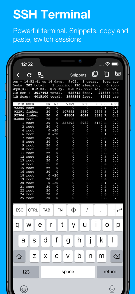 Termux Pro - Termux Pro mobile app displaying a functional SSH terminal with a system process monitor on an iPhone