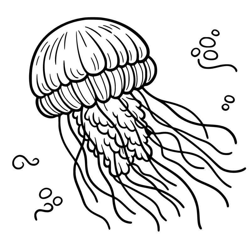 jellyfish