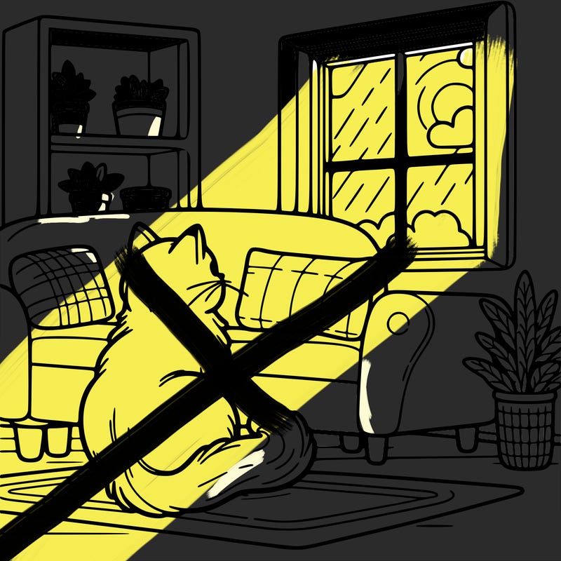 a cat sitting on a couch looking out the window