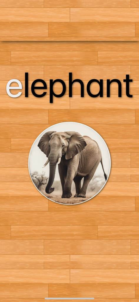 English 101 - Learn to Write - Tarjeta de vocabulario educativa de la aplicación English 101 que muestra la palabra elefante con una fotografía de apoyo