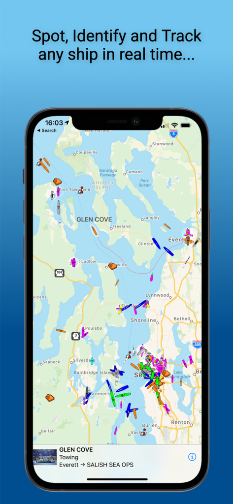Suivi et identification de navires en temps réel sur l'interface cartographique de l'application Boat Watch montrant les positions des navires