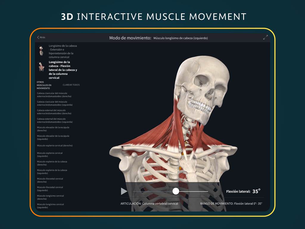 3d interactive muscle movement simulation of the human neck and skull