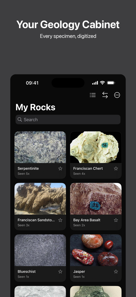 Rockr AI: Rock Identifier - Ein mobiler App-Bildschirm mit dem Titel Meine Steine zeigt eine digitale Sammlung identifizierter Mineralien wie Serpentinit und Jaspis mit Häufigkeitsangaben