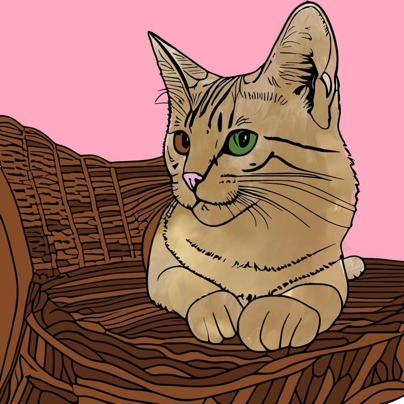 realistic cat