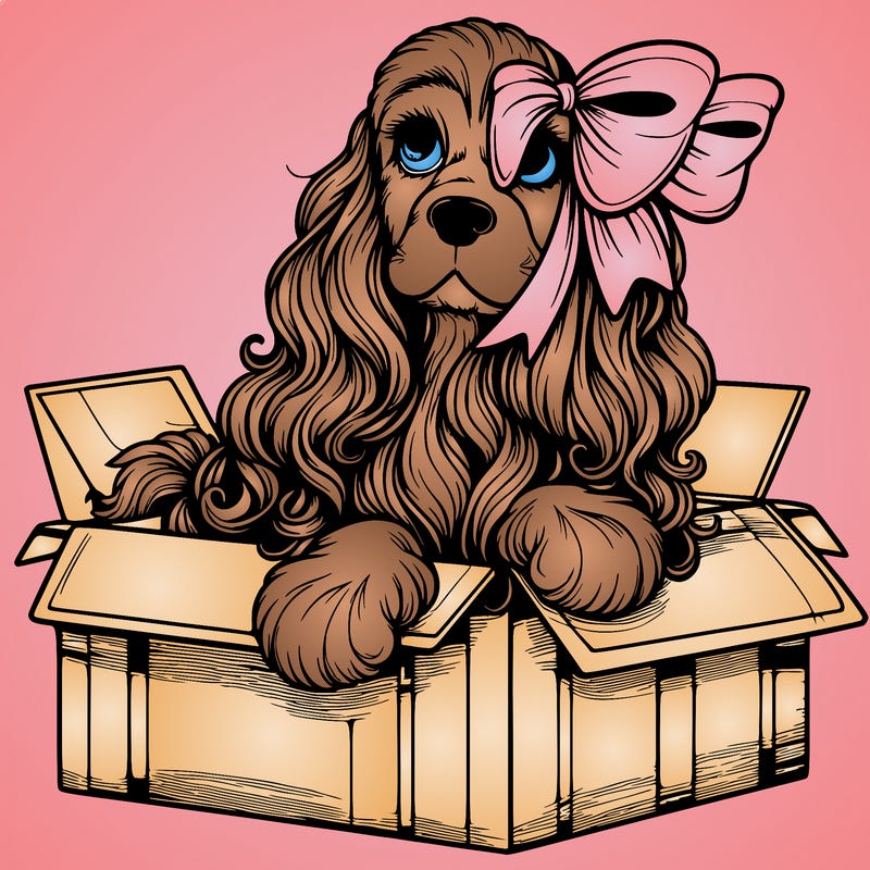 a spaniel american cocker with a beautiful bow coming out if a box realistic cute