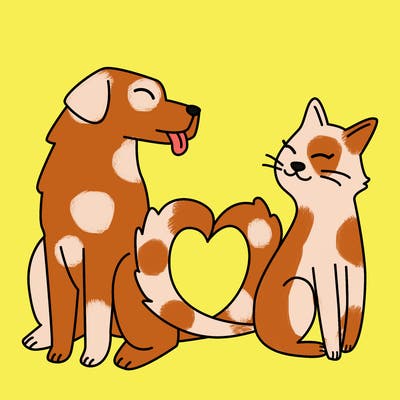 animals_22