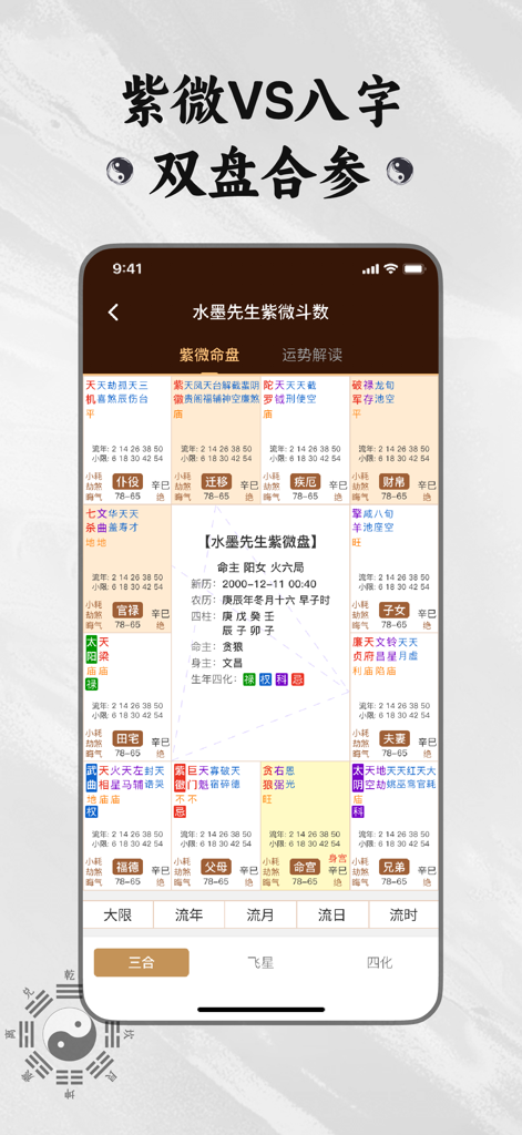 Detailed Ziwei Doushu astrological chart interface in the Mr. Ink Bazi app