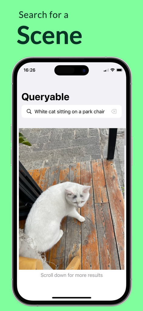 공원 의자에 앉아 있는 흰 고양이를 검색하는 Queryable 앱을 보여주는 iPhone 화면