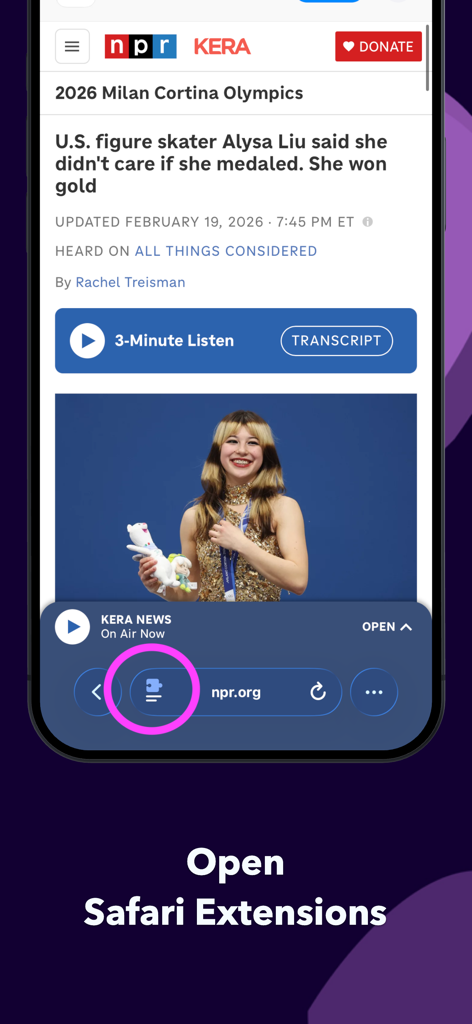 WebRewind - Web Archiver - WebRewindのSafari拡張機能を開くためのパズルアイコンを強調するiPhone画面。