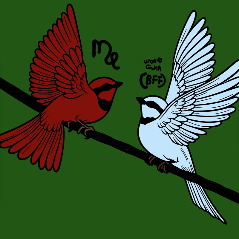 two birds on a wire one flys away realistic