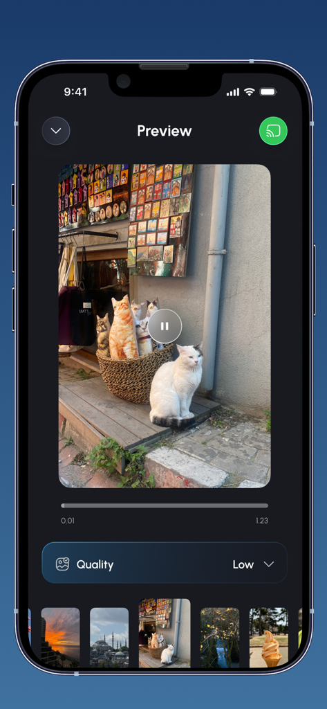 An iPhone interface showing a preview of a cat photo from the gallery ready to be cast to a TV.