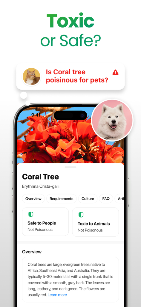 Plant App: Plant Identifier - Smartphone screen displaying safety information and toxicity levels of a Coral Tree for people and pets.