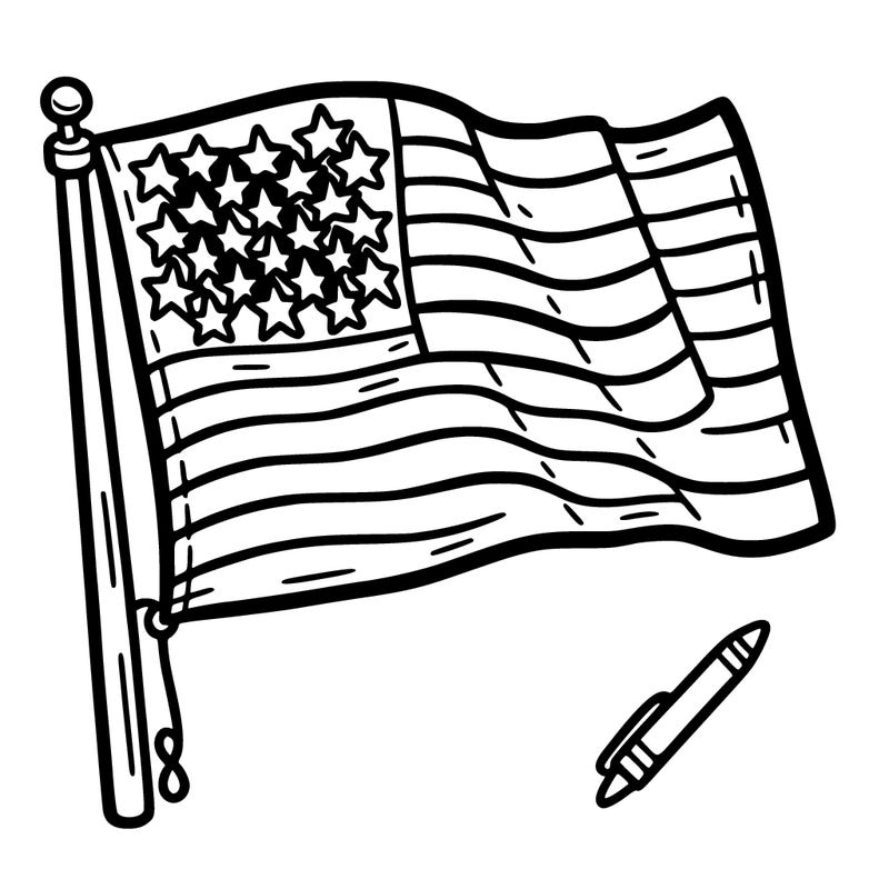 the united states flag
