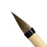Ink Brush Pro - Icona App