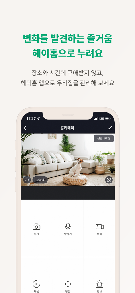 헤이홈 Hejhome - Tela do smartphone exibindo a interface da câmera doméstica do aplicativo Hejhome com um feed de vídeo ao vivo de um cachorro de estimação