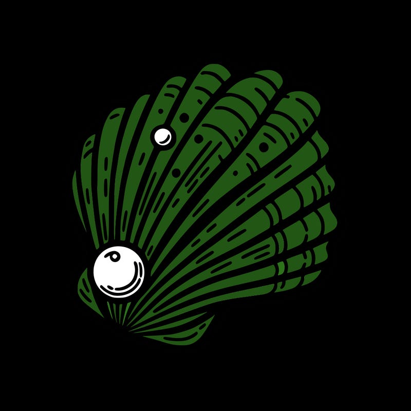 sea shell with pearl