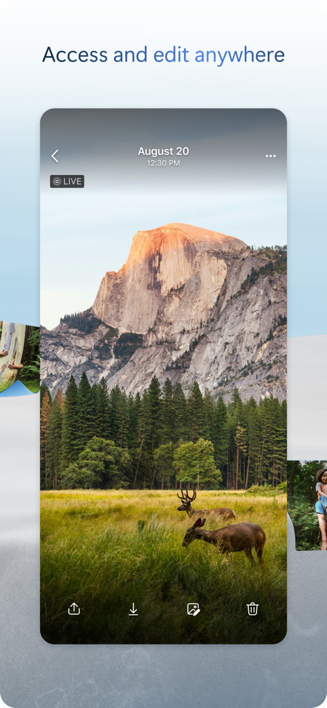 Smartphone screen showing a scenic nature photo in the Microsoft OneDrive app with deer in a meadow.