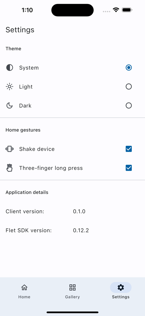 Flet - Settings screen of the Flet app showing theme preferences, home gestures, and application version details.