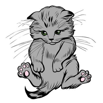 animals_20
