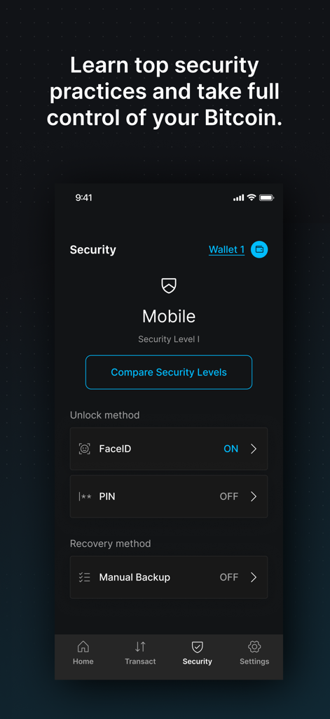 Blockstream Green app security dashboard featuring biometric unlock and recovery options.