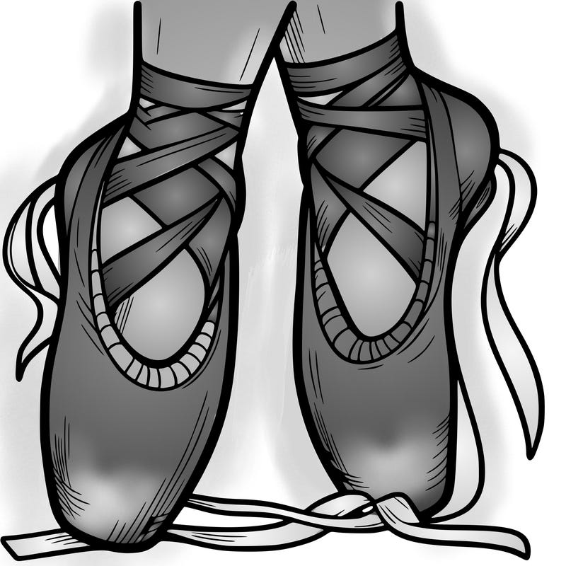 ballet shoes