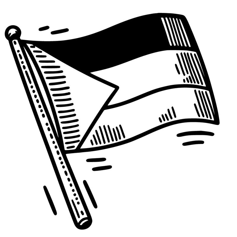 palestine flag