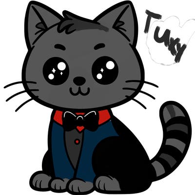 tuxedo cat