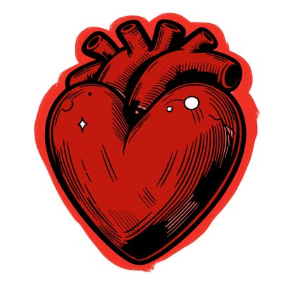 realistic heart