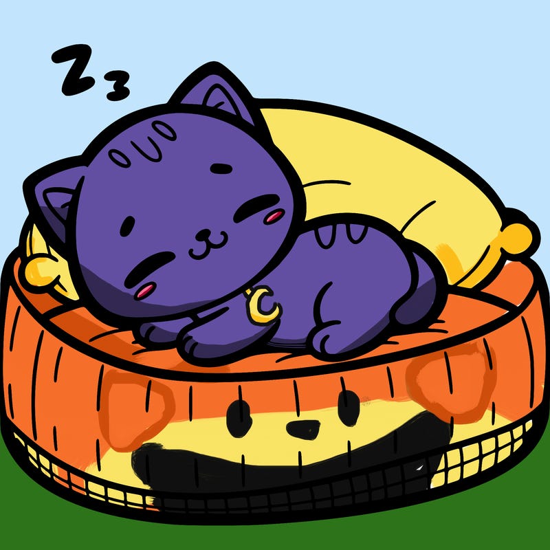 cute kitten sleeping on a cat bed