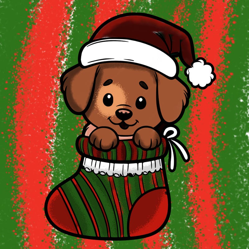 cute puppy wearing santa hat in socking