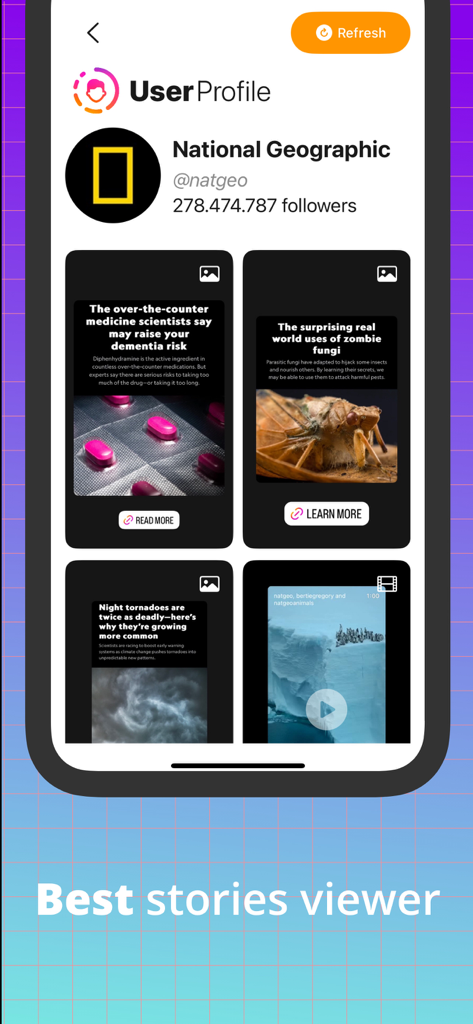 Story Studio for Instagram IG - A mobile app interface showing a user profile with a grid of Instagram stories for convenient viewing