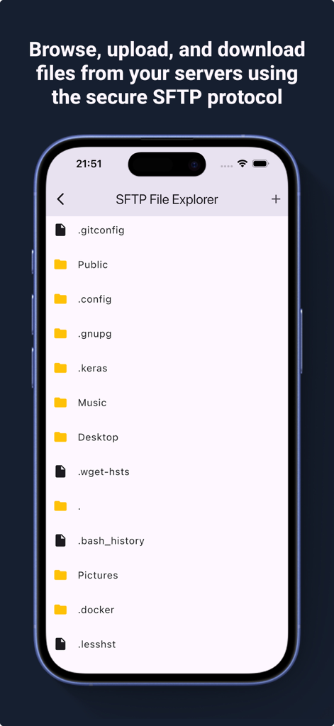 Interfaccia dell'esploratore di file SFTP sicuro per la gestione dei file del server remoto