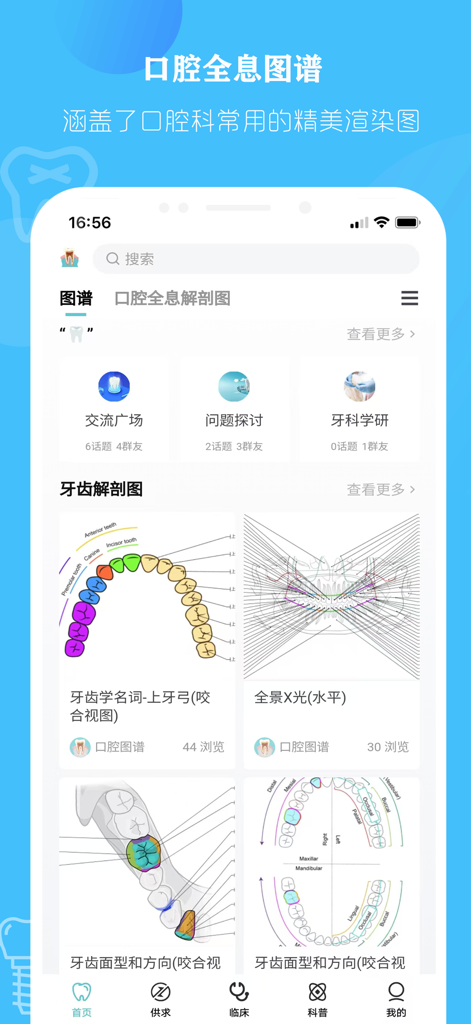 口腔解剖图 — 口腔牙科精美科普全息插图 - Schermata principale dell'app Oral Anatomy Diagrams che mostra grafici di anatomia dentale e moduli di ricerca scientifica