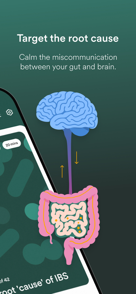 Eine Illustration der Gehirn-Darm-Verbindung zur Linderung von Reizdarmsyndrom in der Nerva App