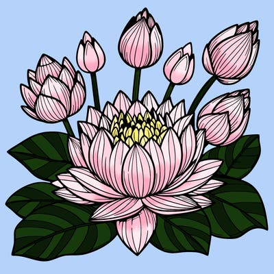 lotus flower
