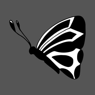 animals_02