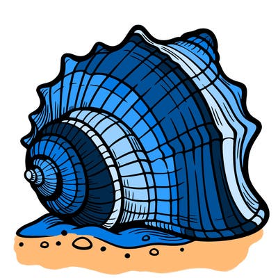 sea shell