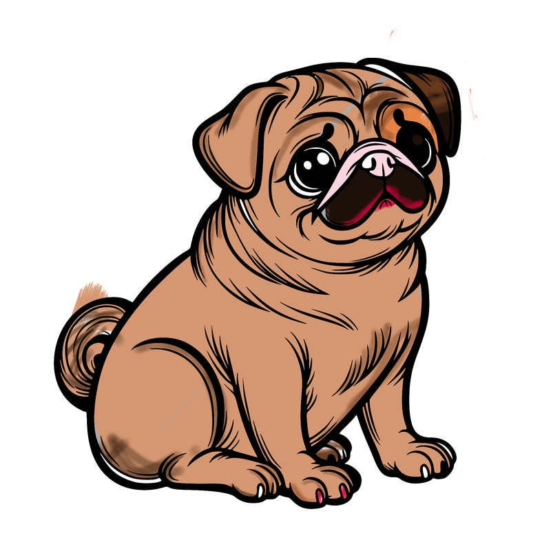 pug